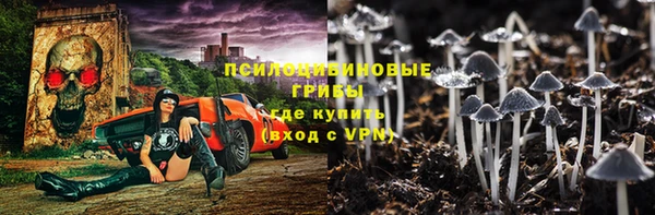 apvp Фурманов