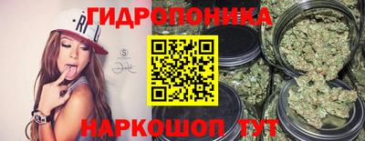 альфа пвп Заводоуковск